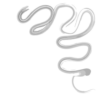 Beyaz arkaplanda siyah suluboya deseni izole edildi