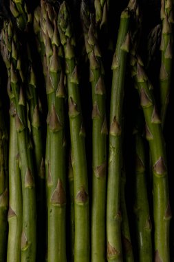 Moda tonlarında kuşkonmaz filizleniyor