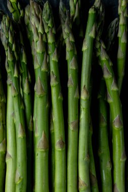 Moda tonlarında kuşkonmaz filizleniyor