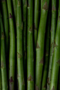 Moda tonlarında kuşkonmaz filizleniyor