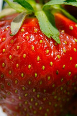 Sulu olgun çilekler kapayın makroyu.