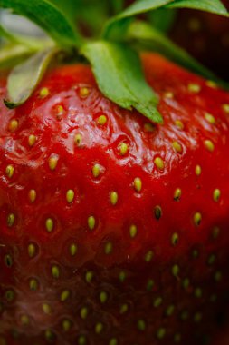 Sulu olgun çilekler kapayın makroyu.