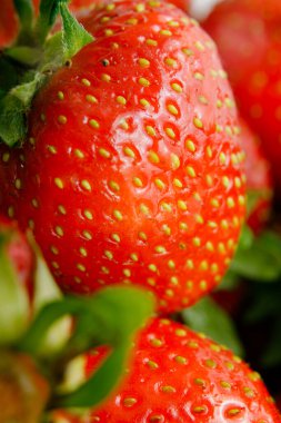 Sulu olgun çilekler kapayın makroyu.