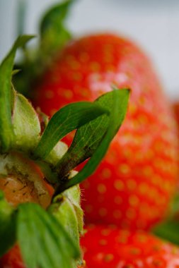 Sulu olgun çilekler kapayın makroyu.