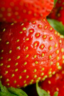 Sulu olgun çilekler kapayın makroyu.