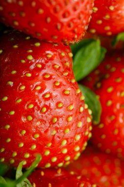 Sulu olgun çilekler kapayın makroyu.