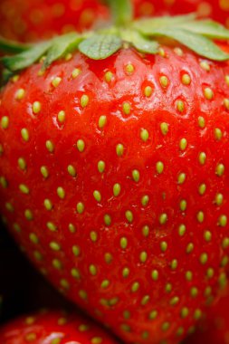 Sulu olgun çilekler kapayın makroyu.