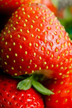 Sulu olgun çilekler kapayın makroyu.