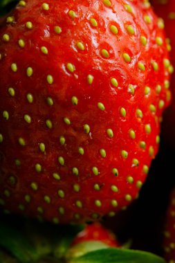 Sulu olgun çilekler kapayın makroyu.