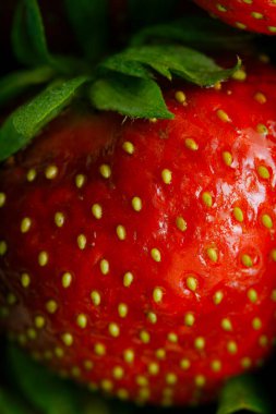 Sulu olgun çilekler kapayın makroyu.