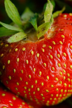 Sulu olgun çilekler kapayın makroyu.