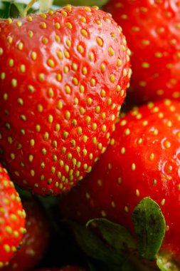 Sulu olgun çilekler kapayın makroyu.