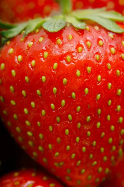 Sulu olgun çilekler kapayın makroyu.