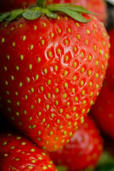 Sulu olgun çilekler kapayın makroyu.