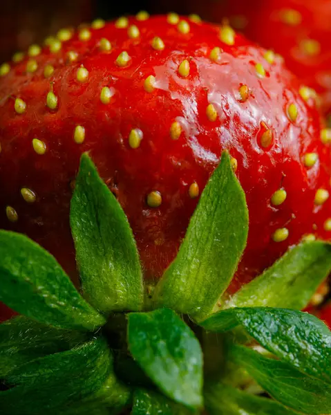 Sulu olgun çilekler kapayın makroyu.