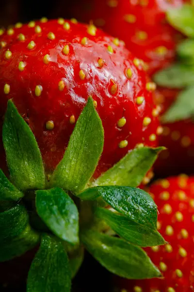 Sulu olgun çilekler kapayın makroyu.