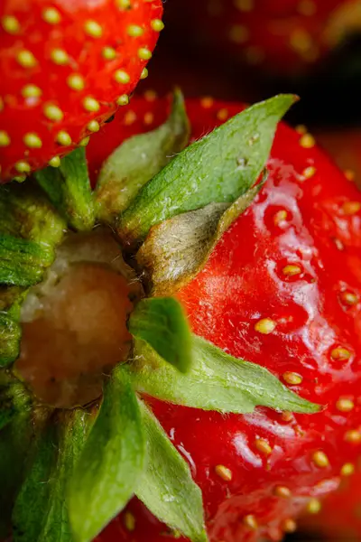 Sulu olgun çilekler kapayın makroyu.