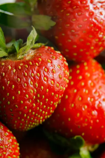 Sulu olgun çilekler kapayın makroyu.