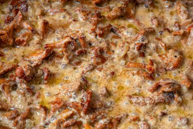 Chanterelle mantarları ekşi kremalı, yakın çekim makrosu ile pişirilir.