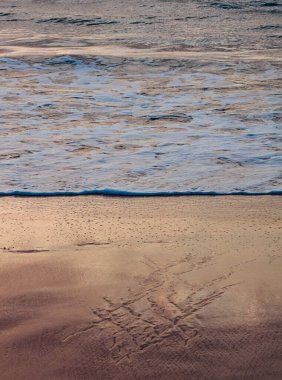 Atlantik Okyanusu sörfü, kıyı, elementler