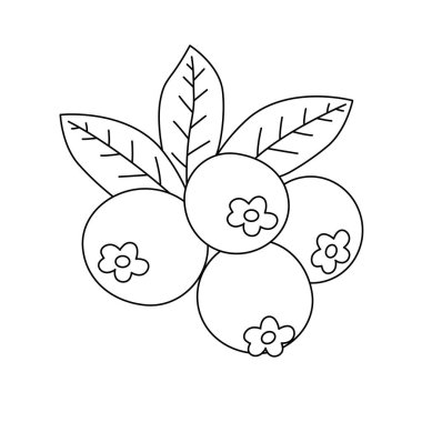 Yaban mersini boyama kitabı. Çocuklar ve yetişkinler için meyve boyama sayfaları. Yapraklı Yabanmersini Vektör Çizimi Çizimi İllüstrasyonu