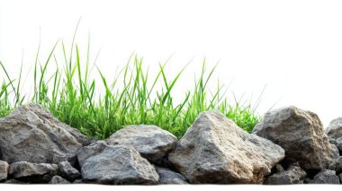  little grass growing on rocks stone and rocky cliff clipart