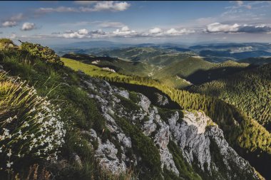 Ulusal park Kopaonik 'teki dağ manzarası, Sırbistan' daki doğa rezervi. Eagles rock 'ın panoramik görüntüsü. Yeşil tepeler, ağaçlık yamaçlar ve mavi bulutlu gökyüzünün altında yoğun kozalaklı orman..