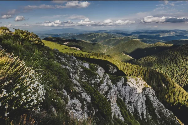 Berglandschap Nationaal Park Kopaonik Natuurgebied Servië Panoramisch Uitzicht Vanaf Eagles — Stockfoto