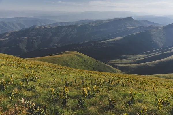 旧山国立公園の青い空の下で山の牧草地 緑の丘や岩と風景 セルビアとブルガリアの間で自然保護 晴れた夏の日にStara Planinaの丘の中腹に — ストック写真