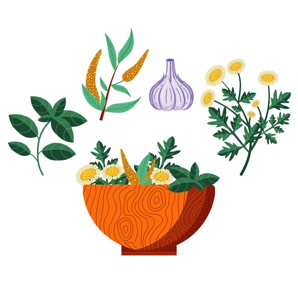 Plantes Homéopathiques Bol Bois Avec Des Herbes Médicales Des Fleurs — Image vectorielle