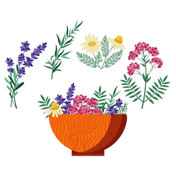 Ομοιοπαθητικά Φυτά Ξύλινο Μπολ Ιατρικά Βότανα Λουλούδια Και Μπαχαρικά Βιολογικές — Διανυσματικό Αρχείο