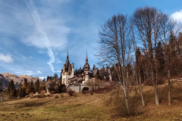 Auxiliary Buildings Peles Castle Carpathian Mountains One Most Beautiful Castles — Stockfoto