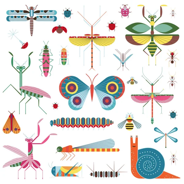 Icono Insectos Pradera Con Saltamontes Mariposas Orugas Escarabajos Mariquitas Abejas — Archivo Imágenes Vectoriales