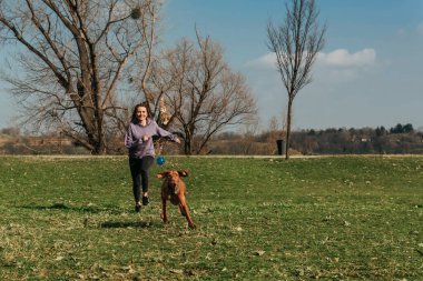 Parkta köpekle yakalamaca oynayan genç bir kadın. Plastik top yakalamak için Vizsla köpeğini kovalayan mutlu kız. Aktif kadın sahibi ve kanat çırpan kulakları olan Macar vizsla açık havada birlikte vakit geçiriyorlar..