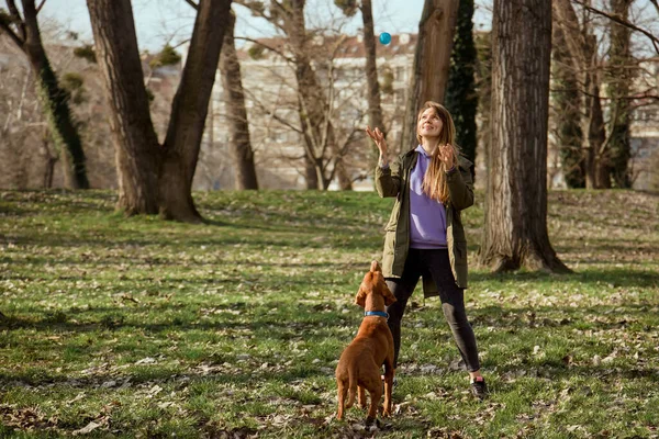 Mujer Joven Jugando Pelota Con Perro Puntero Húngaro Parque Chica —  Fotos de Stock