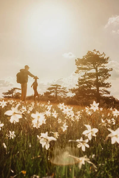 Silhouettes Man Dog Sunset Wild Narcissus Meadow Bloom Male Backpacker — Stock Photo, Image