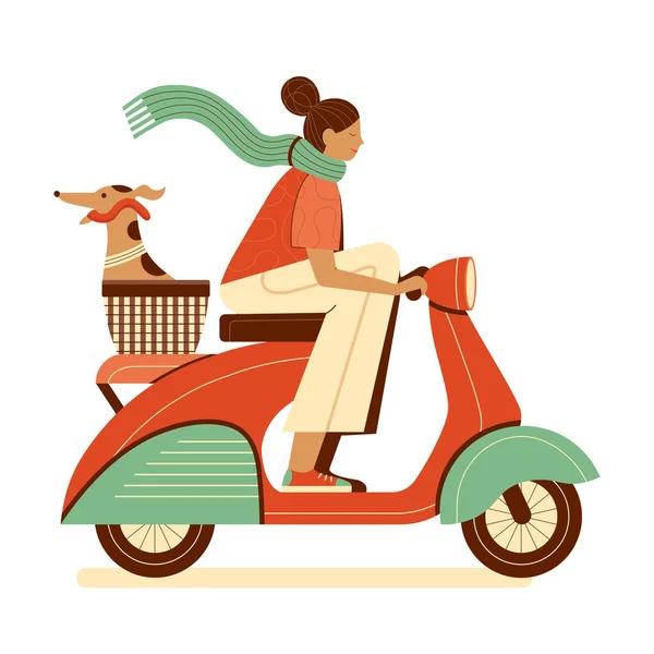 Mujer Montando Scooter Con Perro Galgo Italiano Feliz Sentado Cesta — Vector de stock