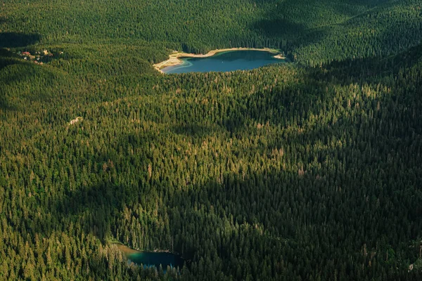Вид Воздуха Ледниковое Черное Озеро Змеиное Озеро Обрамленное Хвойным Лесом — стоковое фото