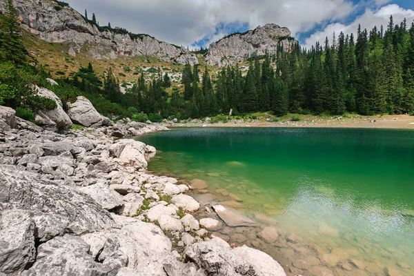 Mountain Lake Coniferous Forest Reflected Surface Jablan Lake Highlands Landscape — Stock Photo, Image