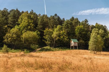 Sırbistan 'da kuş avlama yolunda kuş izleme kulübesi. Tarlası, yeşil ormanı ve kuş gözleme kulesi ya da platformu olan pastoral bir manzara. Balkanların kırsal ve kırsal kesimlerinde yaz tatili.