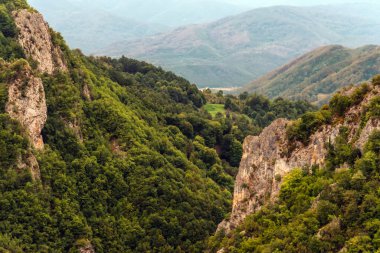 Sırbistan 'ın Ljubovija bölgesinin dağlık kesimlerinde ağaçlı dağlar. Yaz dağı manzarası, tepe manzarası. Doğa güzelliği sahnesi, çıplak kayalar, yeşil tepeler ve orman, Bobija tepesinden manzara.