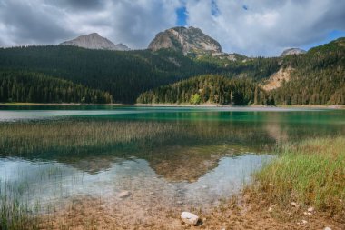 Dağ gölü ve kozalaklı orman Kara Göl 'ün yüzeyine yansıyor. Karadağ 'ın Durmitor kentindeki İskoçya manzarası. Buzul gölü manzarası, Dinarik Alpleri 'nin doğal cazibesi ve yürüyüş noktası..