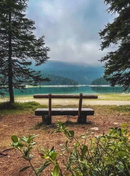 Wooden bench by hiking path in coniferous forest near Black Lake in Durmitor National Park, Montenegro. Summer scenic landscape with bench for tourists rest with beautiful panorama of Crno Jezero.