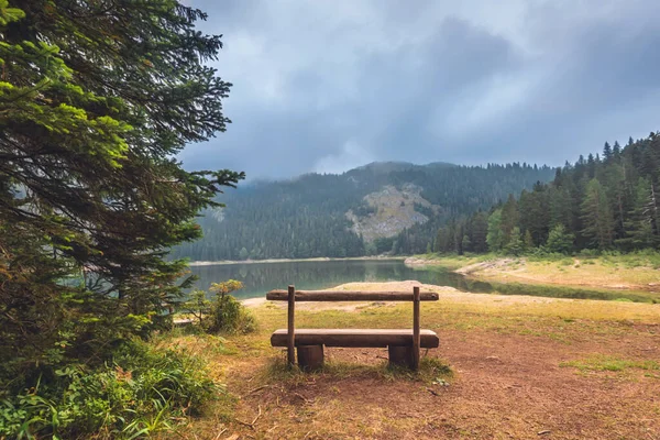 Wooden bench by walking path in coniferous forest near Black Lake in Durmitor National Park, Montenegro. Morning scenic landscape with bench for tourists rest with panorama of misty Crno Jezero.