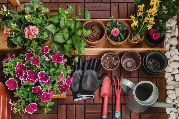 Gartengestaltung Mit Eingetopften Frühlingsblumen Holzkiste Tontöpfen Mit Blähtondrainage Handschuhen Gießkanne — Stockfoto