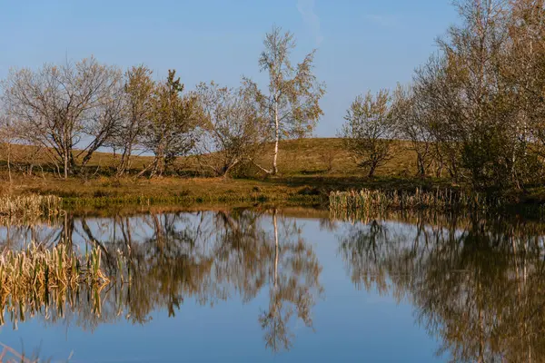 Крошечное Озеро Небеска Суза Tear Haven Горе Голия Сербия Весенний — стоковое фото