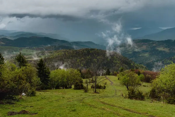 Golija UNESCO Biyosfer Rezervi 'ndeki dağ manzarası, Sırbistan' daki doğa parkı. Yeşil tepelerin panoramik manzarası ve orman dağları dramatik yağmurlu gökyüzü altında alçak bulutlar altında.