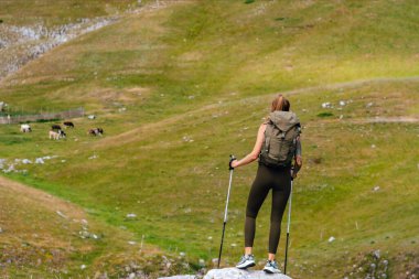 Kadın yürüyüşçünün yaz günü dağlık vadide otlayan ineklerle birlikte tarlaya bakışı. Sırt çantası ve yürüyüş direkleriyle seyahat eden genç bayan turistin arka görüntüsü.