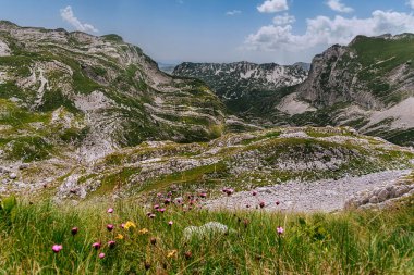 Durmitor Ulusal Parkı 'nın Sareni Pasovi Dağı' nın yaz panoramik manzarası. Durmitor Massif 'in en yüksek tepelerindeki Alp manzarası. Balkanlar 'ın zirveleri Karadağ' da yürüyüş yapıyor.