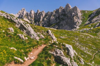 Karadağ 'ın Durmitor Ulusal Parkı' ndaki dağlarda Rocky yürüyüş parkurunda. Güneşli yaz sabahında Bobotov Kuk 'a giden tepe üzerinde Zupci tepeleri olan dağlık yaz manzarası..